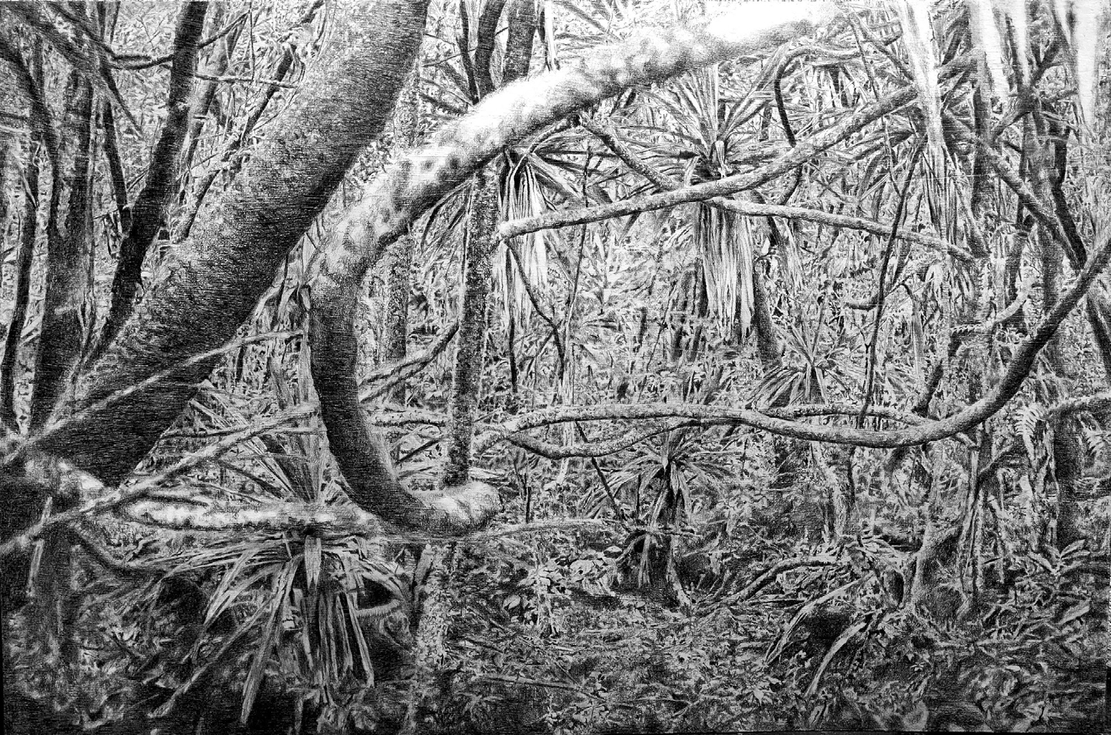 Lucile Soussan, Le crayon, la forêt et l’océan