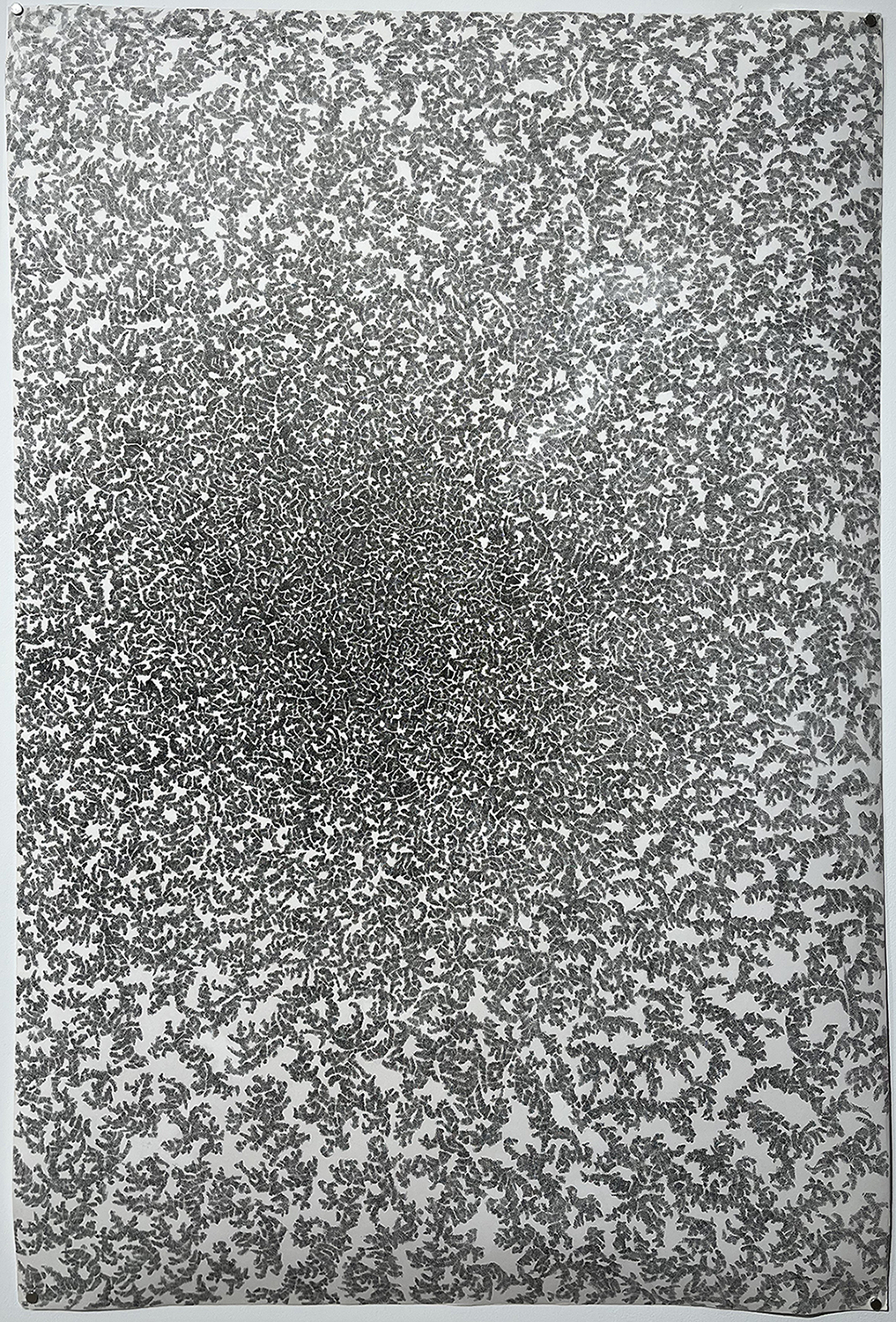 Wuthering Black Holes, Dessin à l'encre de Chine sur papier, 120 x 80 cm, 2021.