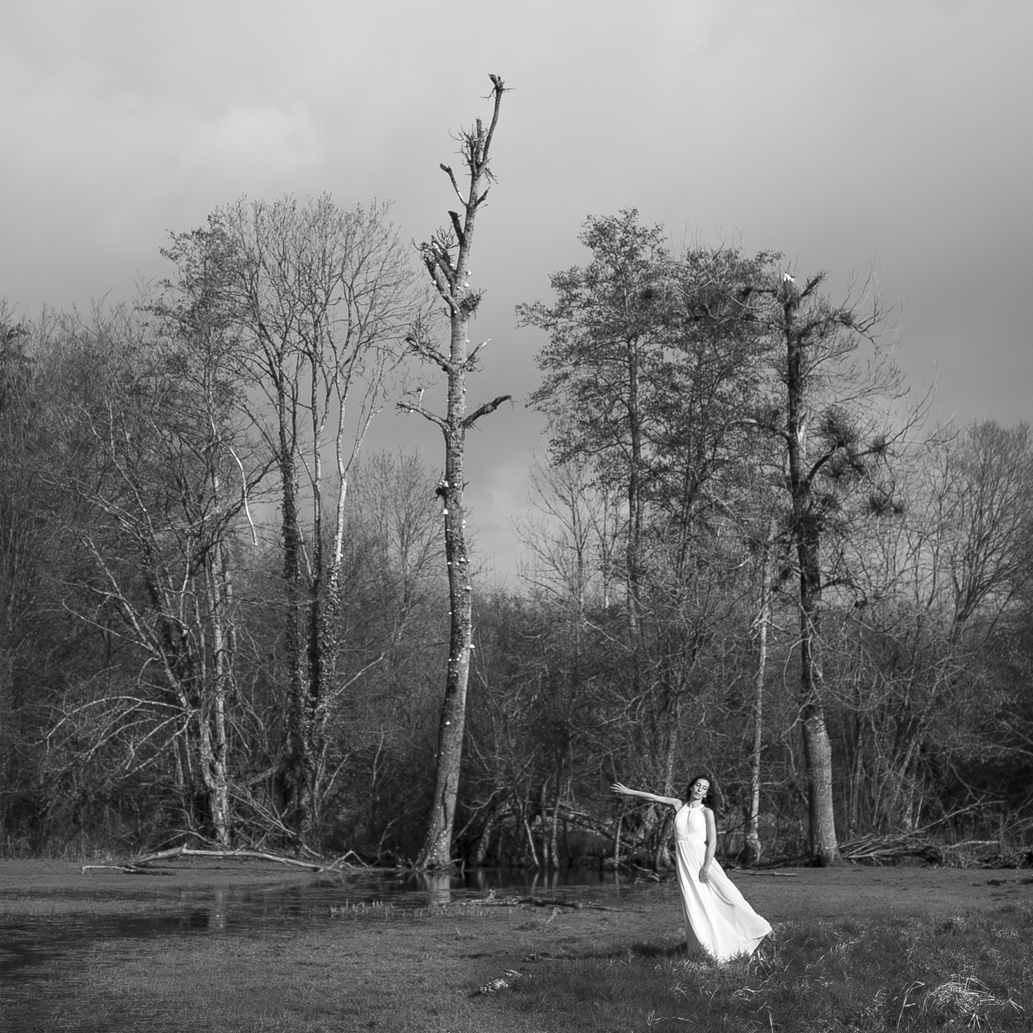 Caroline Henry, L’image dansée